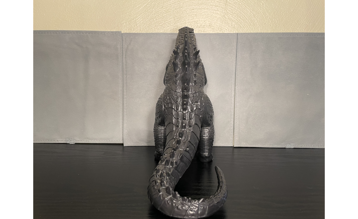 Back view