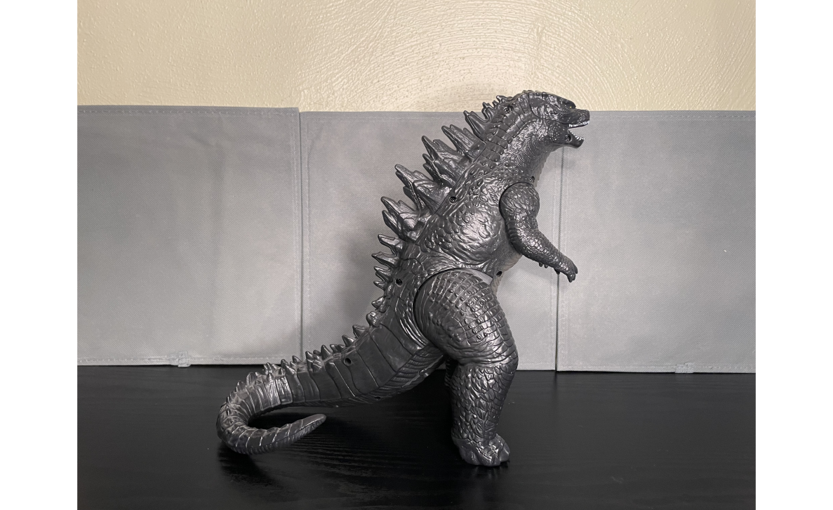 Right side view